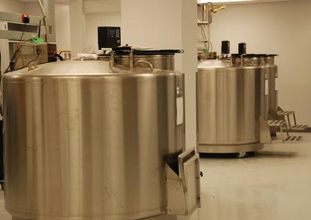 LN2 Freezers